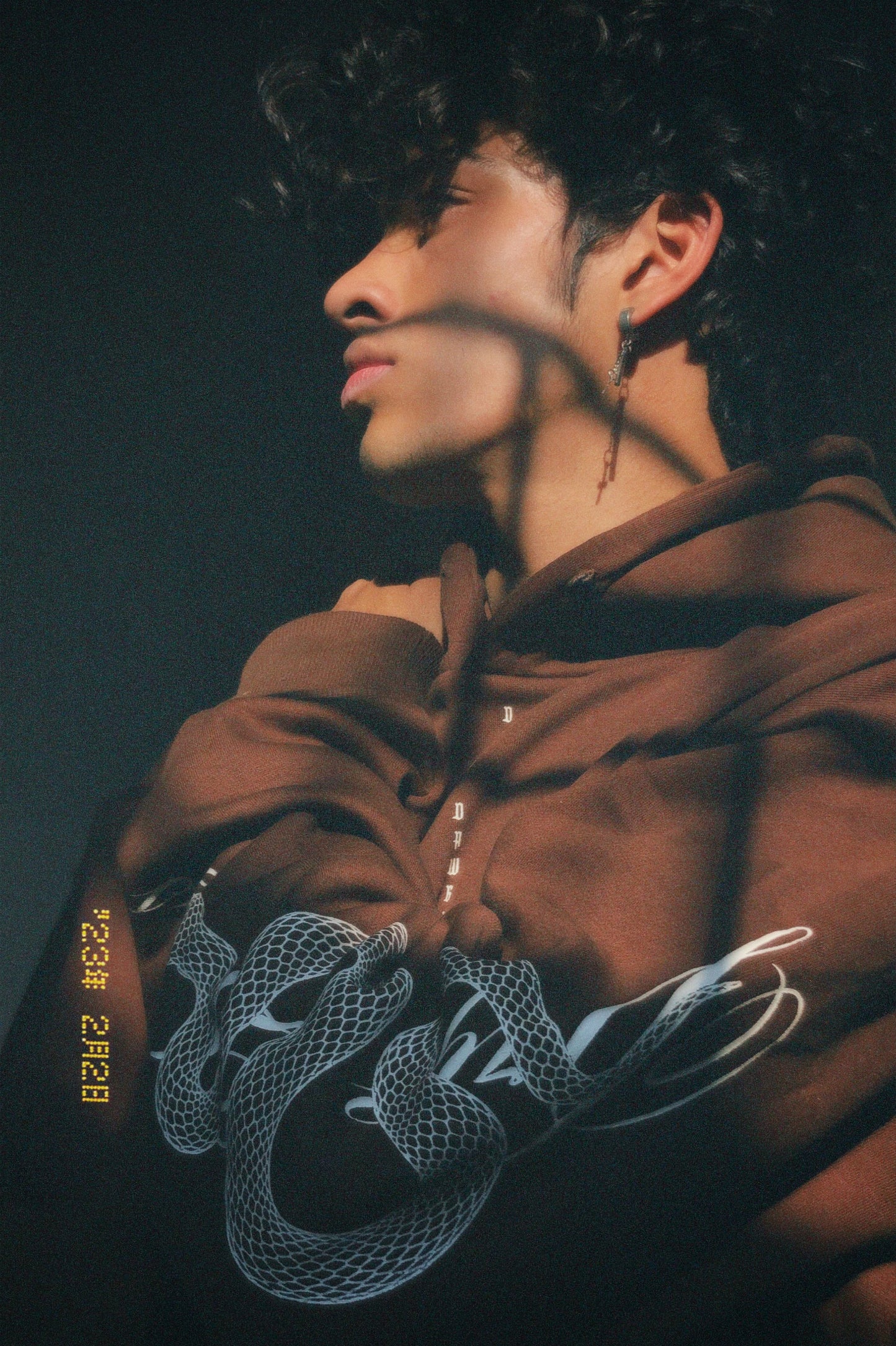 Serpent Hoodie - Brown