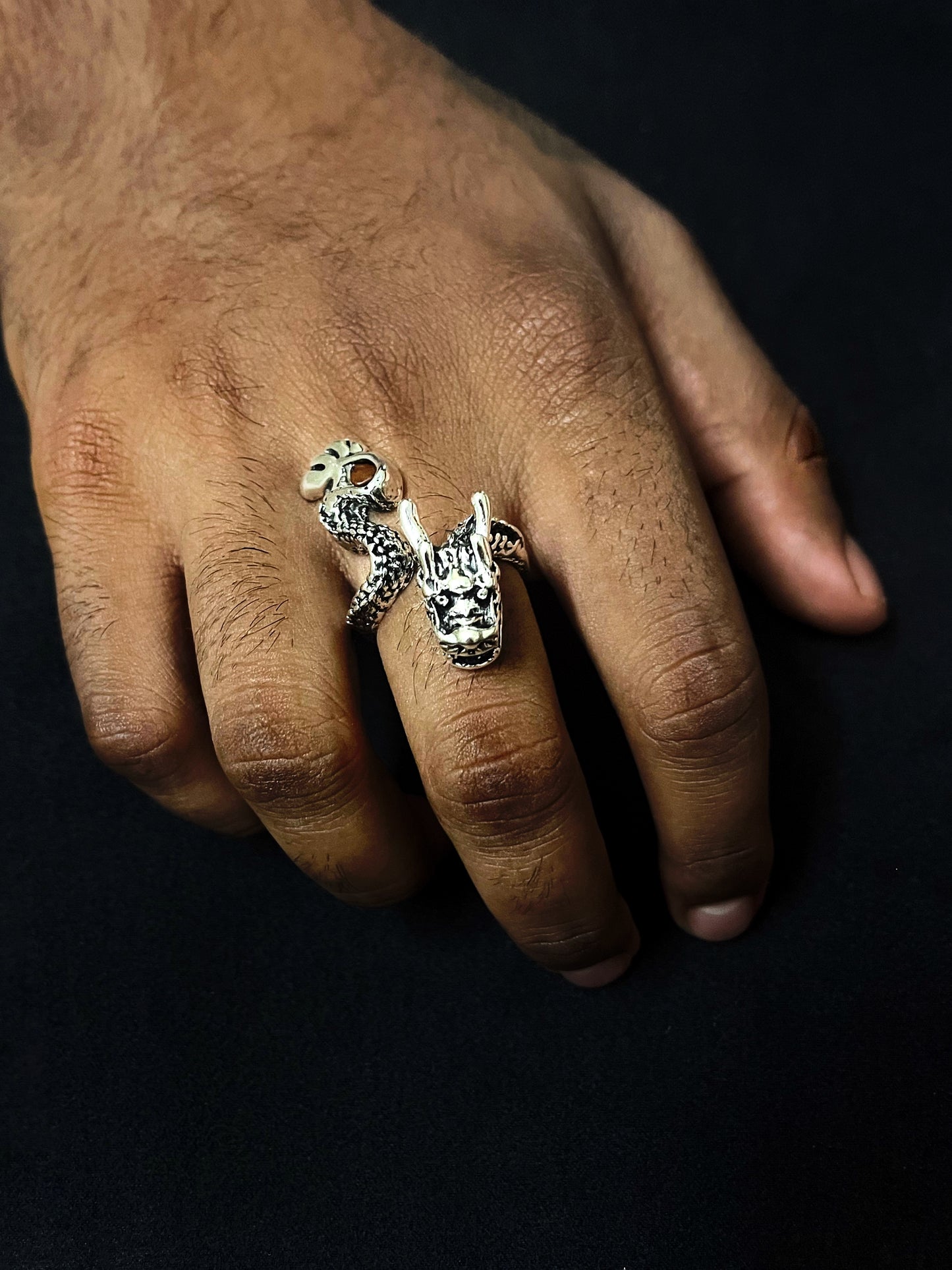 Hail the Dragon Ring